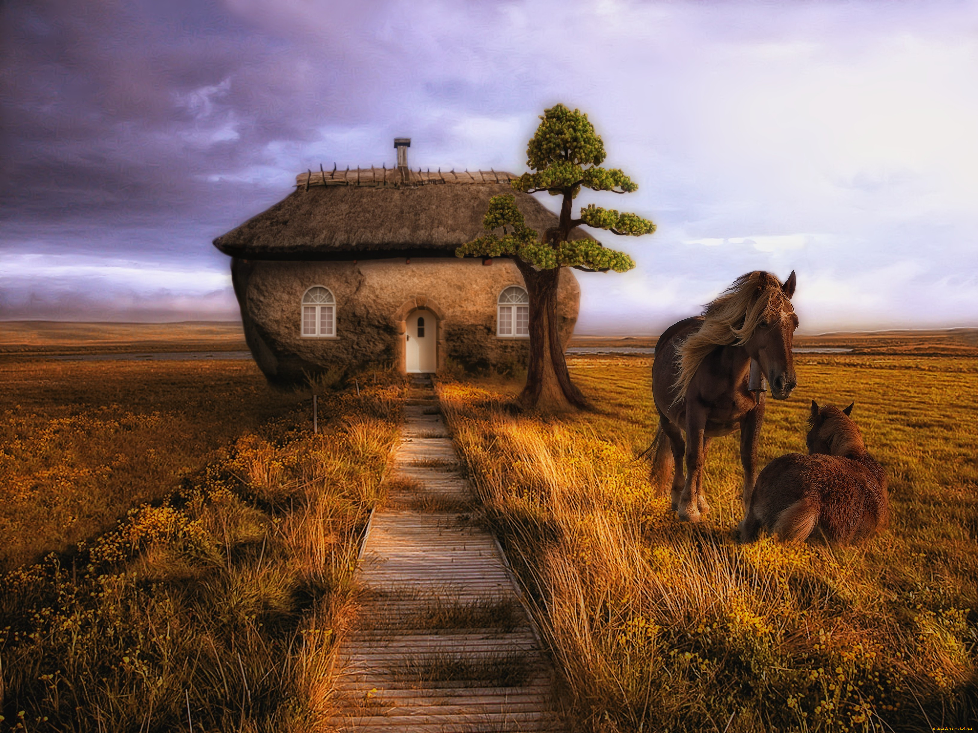 Природа дом животных. Пейзаж с лошадьми. Лошади в деревне. Красивые пейзажи с лошадьми. Домик для лошади.